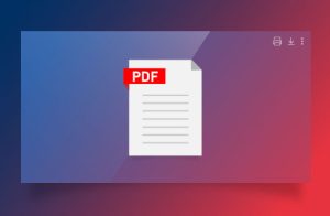 PDF file